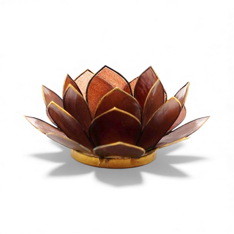 Lotus lysestage fv. brun