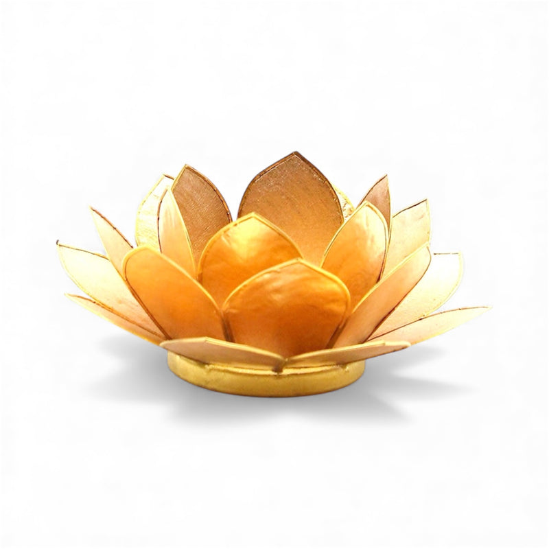 Lotus lysestage fv. gylden